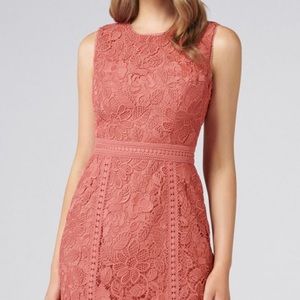 Ever New lace trim dress
